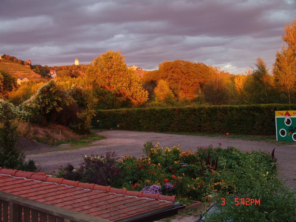 Mitko Apartamento